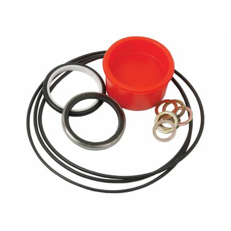 Kit reparatie Danfus directie