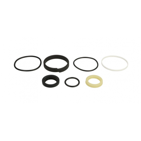 Kit reparatie cilindru directie Landini 4WD 1749581M91 - 1