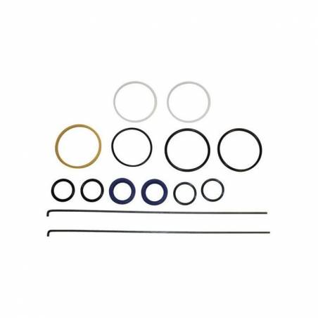 Set garnituri cilindru directie Case