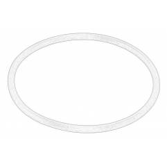 O-ring etansare Case 52.07x2.62 mm - 1