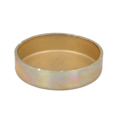 Dop anti-inghet FI45MM Daf CF/XF 0267438,267438