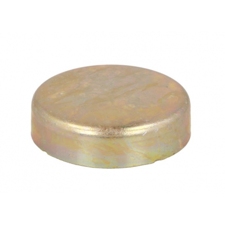 Dop anti-inghet FI45MM Daf CF/XF 0267438,267438 - 1