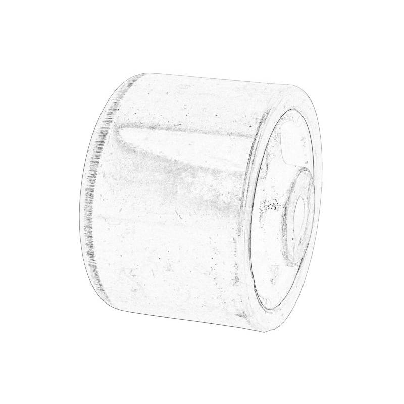 Tampon cabina Fendt H916500200161 - 1