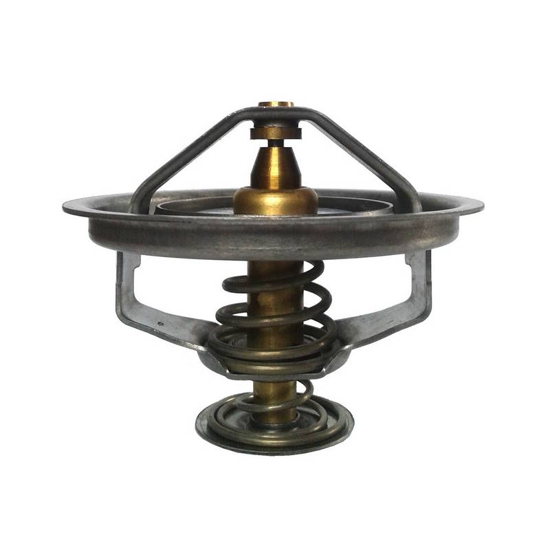 Termostat racire apa Fendt 85 grade G199204010020 - 1