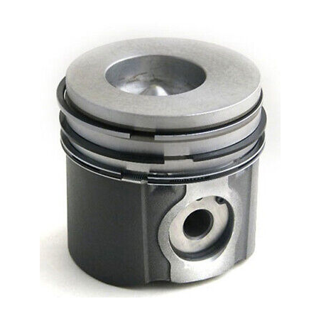 Piston motor Case 87802364 - 1