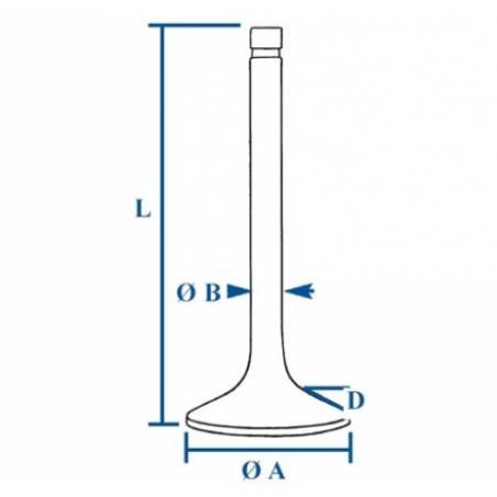 Supapa Chiuloasa, 23/43-256, 43-256, 4579417 Bepco - 1