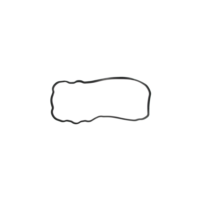 Garnitura baie ulei Man Tga/Tgx 51059040202,51059040212 - 1