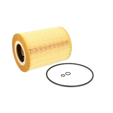 Filtru ulei Man F2000/F90 51055040098,HU1381X - 1