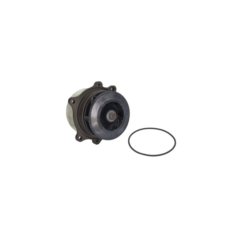Pompa apa motor F2BE0641-F3BE0681G Iveco EuroTrakker/Stralis 5801931331,99483937 - 1