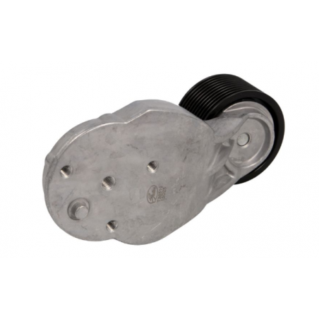 Intinzator curea Volvo/Renault 7421393207,21766717