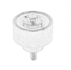 Rola ghidare curea accesorii Iveco EuroCargo/Daf LF 4892356,1399613 - 1