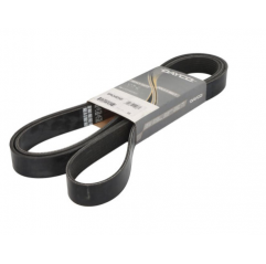 Curea transmisie cu caneluri 8PK2482 Mercedes Atego/Axor 9069934796,A9069934796 - 1