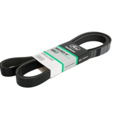 Curea cu caneluri 8PK2415 Daf CF/XF Euro 6 1934278,1939934 - 1