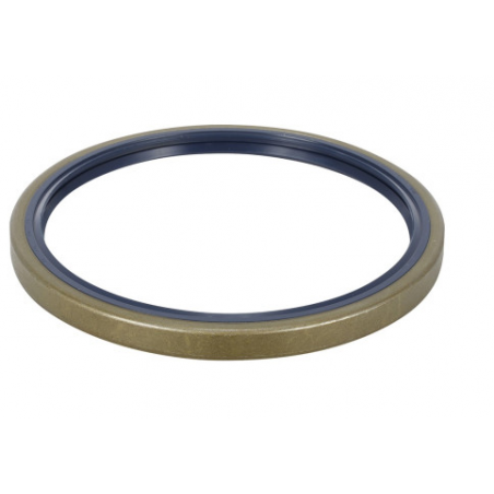 Simering cutie viteze automata Daf/Renault 1240023,5001831661 - 1