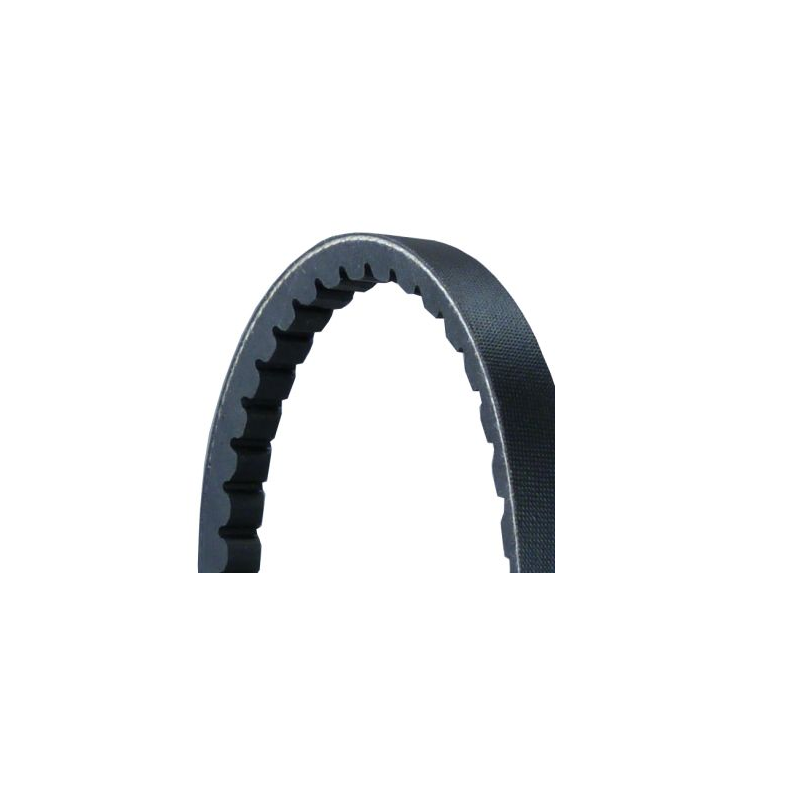 Curea transmisie cu caneluri 13X875 - 1