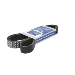 Curea transmisie cu caneluri 8PK1770 Daf CF75 1785489,1817890 - 1