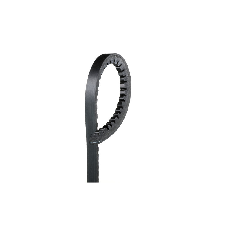 Curea transmisie cu caneluri Iveco/Man F2000 13X1450MM - 1