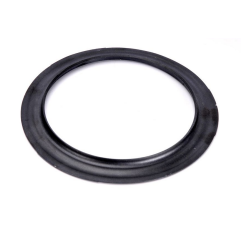 Simering protectie praf punte BPW 0312048150