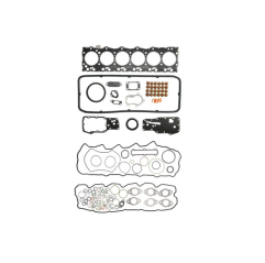 Set garnituri motor Iveco 500055015