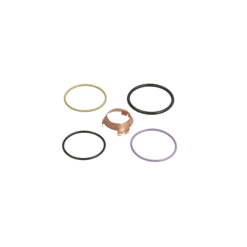 Set garnituri injector Scania P/G/R/T 1441237 - 1