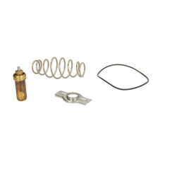 Kit reparatie termostat motor F3GFE611A-F3HFE611D Iveco Stralis/Trakker Euro 6 5802061910