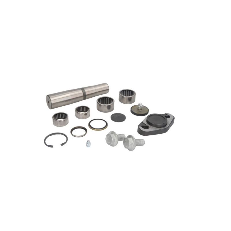 Kit reparatie pivoti Iveco EuroCargo 1904697 - 1