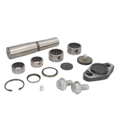 Kit reparatie pivoti Iveco EuroCargo 1904697