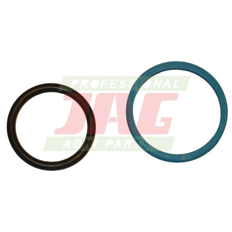 Set garnituri cilindru hidraulic combina Claas 0002132180 - 1