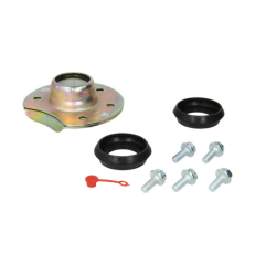 Kit reparatie ax came punte Saf 3268004700,03268004700 - 1