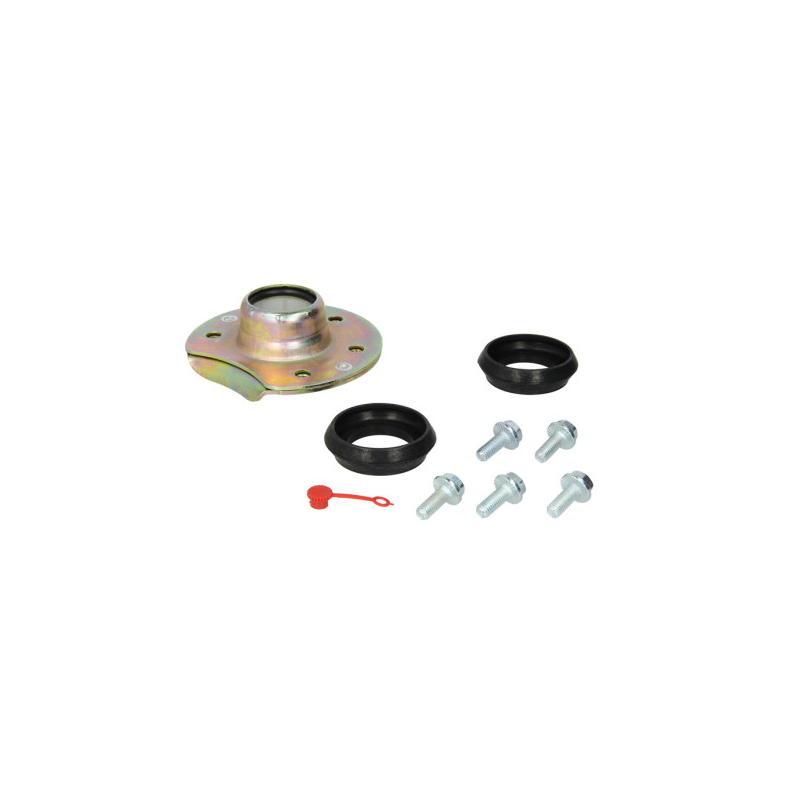 Kit reparatie ax came punte Saf 3268004700,03268004700 - 1