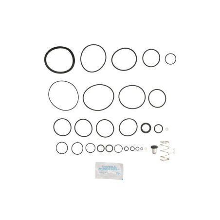 Kit reparatie supapa aer Volvo FH/FM 20424431,3173151