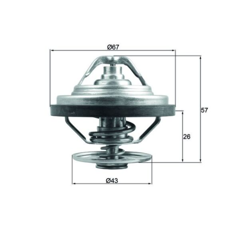 Termostat apa 79 grade Man TGA/TGS/TGX 51064026008,51064020110