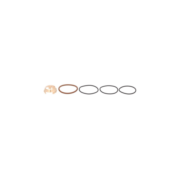 Set garnituri injector Scania P/G/R/T 1441237 - 1