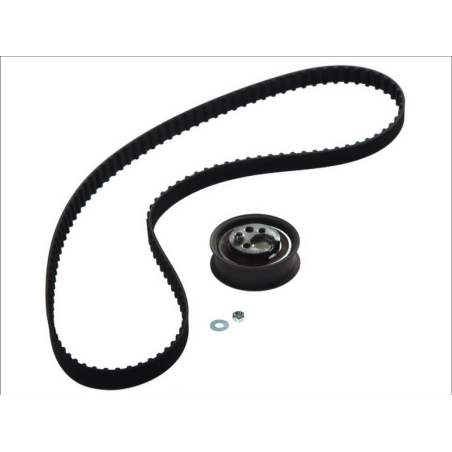 Kit distributie Audi A4/VW Golf/Passat 026109119B - 1