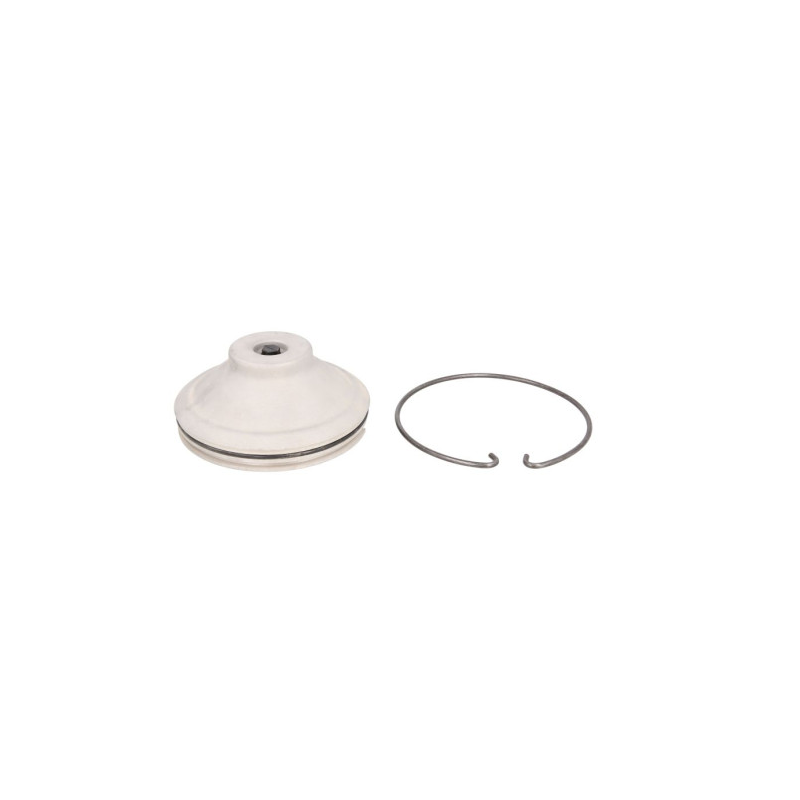 Capac butuc roata Scania P/G/R/T 1381114,1750065 - 1