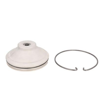 Capac butuc roata Scania P/G/R/T 1381114,1750065