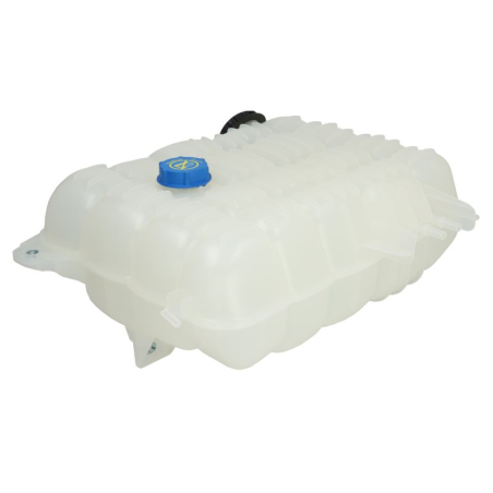 Vas expansiune fara senzor cu capac Volvo/Renault 22430043,7421883431