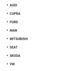 Fulie arbore cotit Audi/Ford/Seat/VW 1315782,038105243E