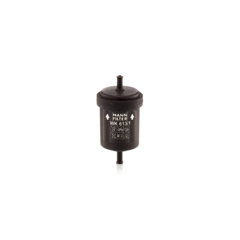 Filtru combustibil Audi/Dacia/Daewoo/Fiat FS 9141 E,B004MLIHB2 - 1