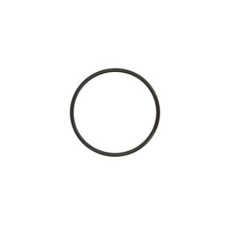 Inel etansare cauciuc (O-ring) EGR Ford Galaxy/Seat/VW 12111252257 - 1