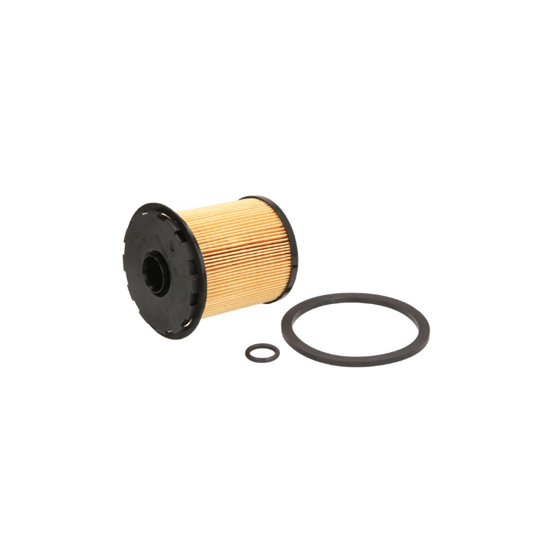 Filtru combustibil Dacia/Renault 7701206119,8200780954 - 1