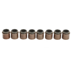 Set garnituri supape motor Ford/Nissan 13207C8700 - 1