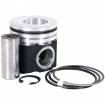 Piston Motor Case   Ø 111.76 MM - STD  87800435, 87800444, 87801050, 87801051, 87801100, 87802364, 87840047, 87841229 Morel - 1