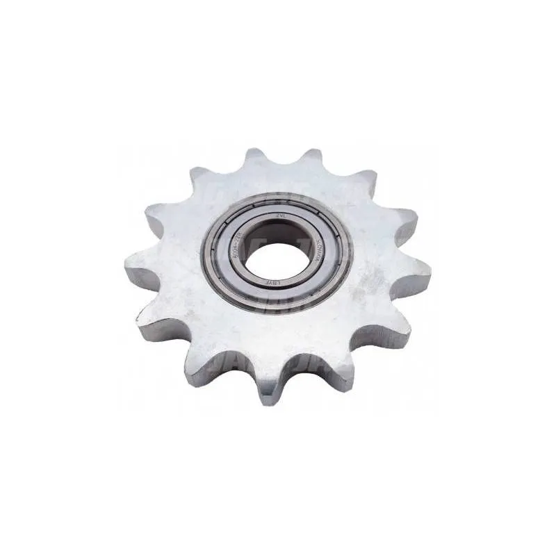 Pinion Gheringhoff Z - 13 030021 Jag - 1