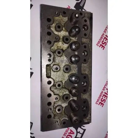 Chiuloasa echipata motor Perkins 37116400