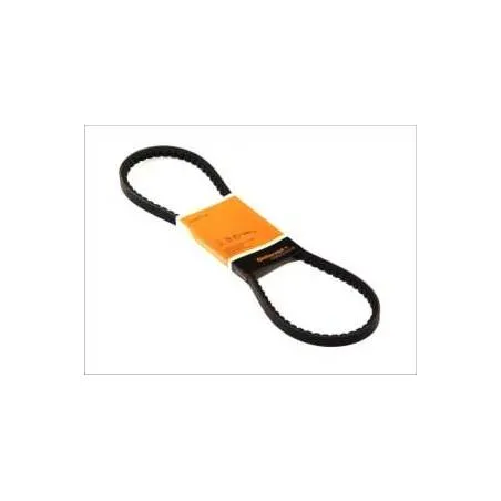 Curea Transmisie 13x1448 Continental - 1