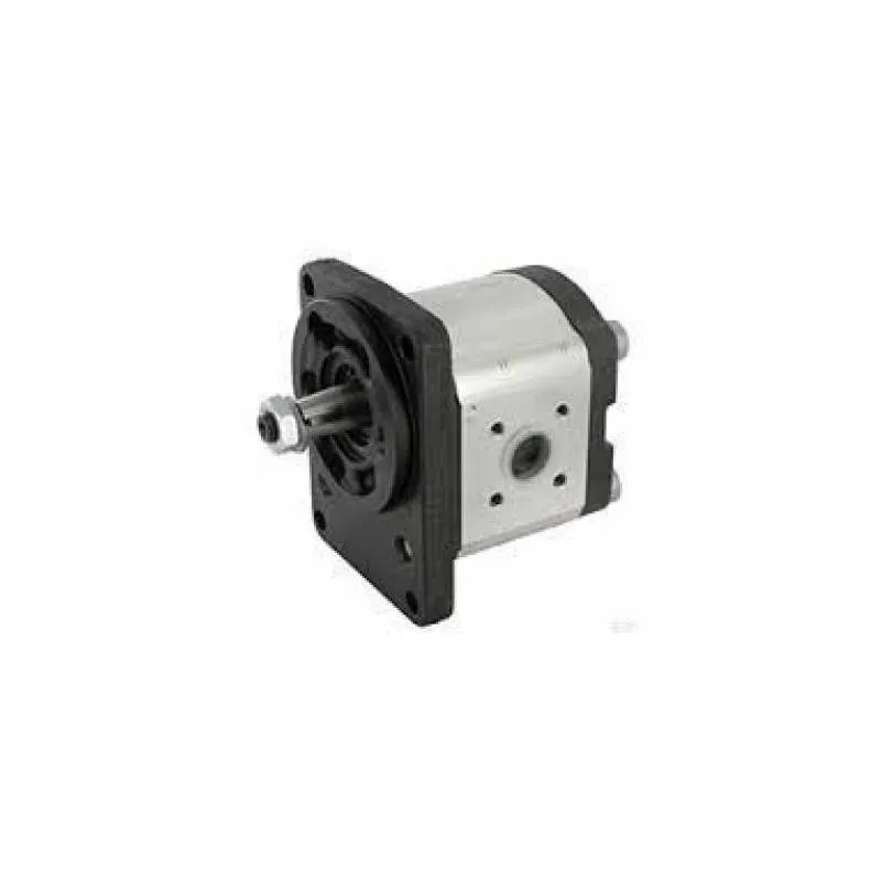 Pompa Hidraulica Case PH33 Caproni - 1