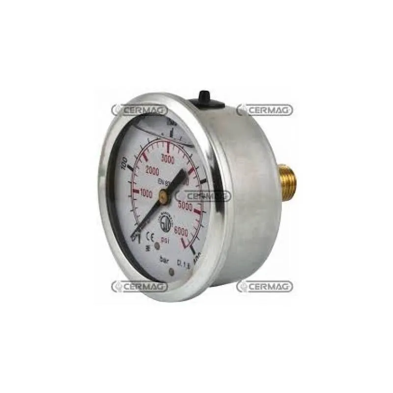 Manometru Instalatie Erbicidat 27366 Cermag - 1