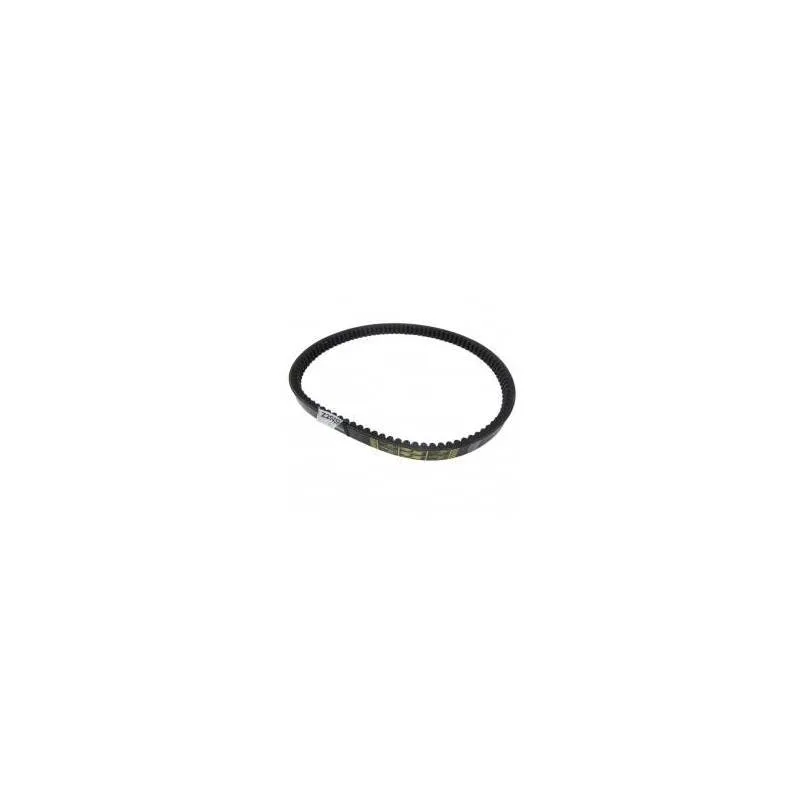 Curea Combina Claas  Z41178K, Z41178, Z20459, 118.425X, AP1003583, 0809104, 177.425X, B120466, 80624398 Gates - 1