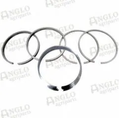 Set Segmenti Massey Ferguson 141158058, 84956,41158058, 745819M91, 745819Z91, 841521M91 Anglo Parts - 1